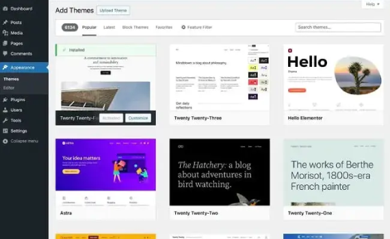 Website Development Service